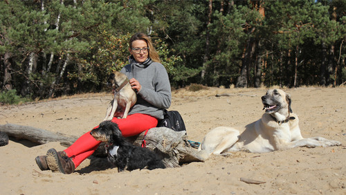 Die Hundetrainerin - Wenn der Vierbeiner zum Chef wird: Ziegler Film